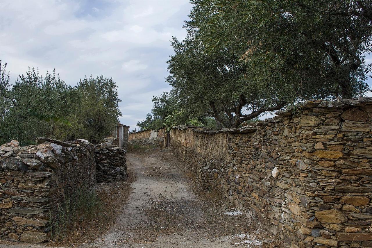 Casa Rural Julio Vegas Santiago Del Campo Exteriér fotografie